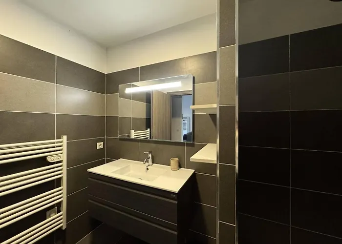 Apartment 2 Pieces Au Coeur De La De Propriano (Corsica)