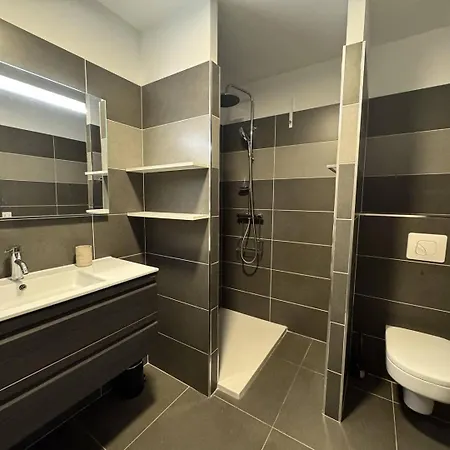 Appartement 2 Pieces Au Coeur De La De Propriano (Corsica)